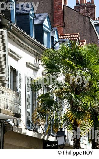 RUE DU MARECHAL FOCH , TARBES, BIGORRE, HAUTES-PYRENEES. (65F02124.jpg)