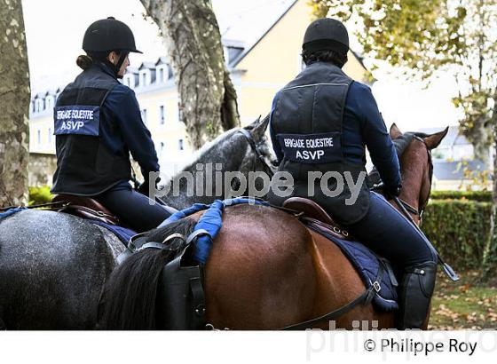 POLICE  MUNICIPALE MONTEE DE TARBES, HARAS NATIONAUX, BIGORRE, HAUTES-PYRENEES. (65F02310.jpg)