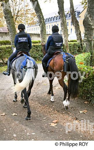 POLICE  MUNICIPALE MONTEE DE TARBES, HARAS NATIONAUX, BIGORRE, HAUTES-PYRENEES. (65F02311.jpg)