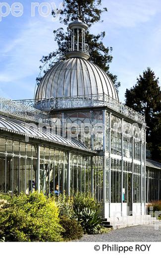 ORANGERIE DU  JARDIN MASSEY, TARBES, BIGORRE, HAUTES-PYRENEES. (65F02405.jpg)