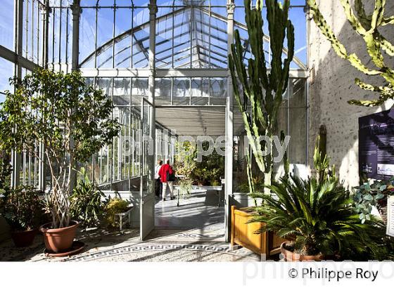 ORANGERIE DU  JARDIN MASSEY, TARBES, BIGORRE, HAUTES-PYRENEES. (65F02409.jpg)