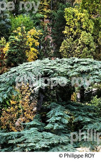 LE  JARDIN MASSEY, TARBES, BIGORRE, HAUTES-PYRENEES. (65F02434.jpg)