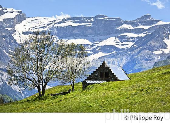 PLATEAU DE SAUGUE  ET CIRQUE DE GAVARNIE, PAYS TOY, HAUTES-PYRENEES. (65F02608.jpg)