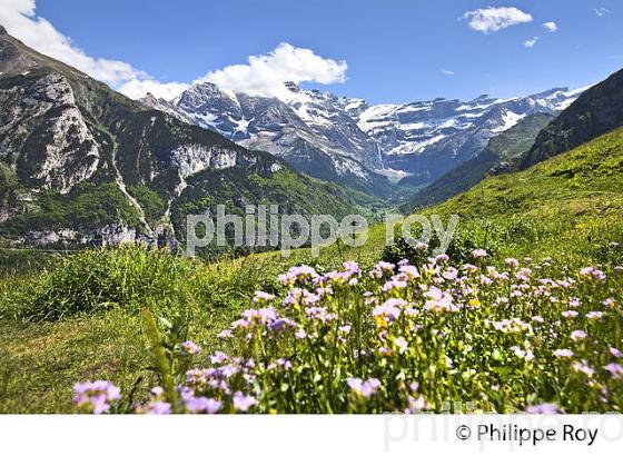 PLATEAU DE SAUGUE  ET CIRQUE DE GAVARNIE, PAYS TOY, HAUTES-PYRENEES. (65F02623.jpg)