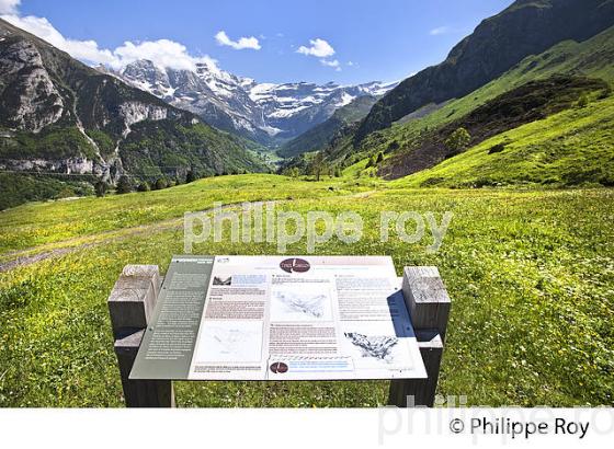 PLATEAU DE SAUGUE  ET CIRQUE DE GAVARNIE, PAYS TOY, HAUTES-PYRENEES. (65F02627.jpg)