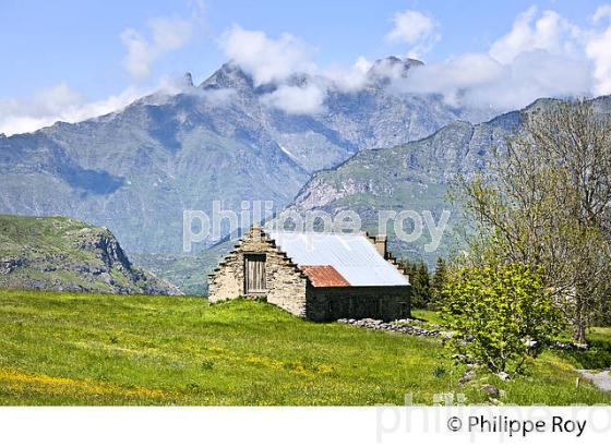 GRANGES , PLATEAU DE SAUGUE , PAYS TOY, HAUTES-PYRENEES. (65F02629.jpg)