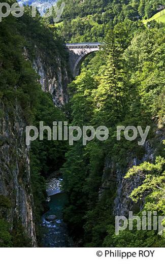 GORGES, GAVE DE GAVARNIE, LUZ-SAINT-SAUVEUR, PAYS TOY, HAUTES-PYRENEES. (65F02701.jpg)