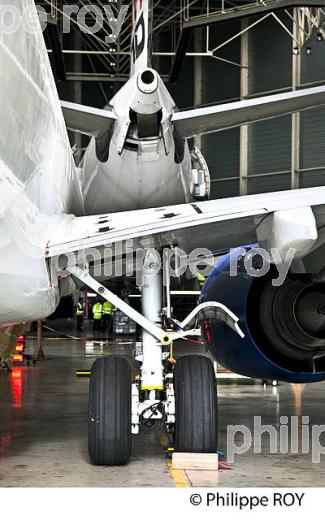 TARMAC AEROSAVE, AEROPORT DE TARBES LOURDES PYRENEES. (65F02739.jpg)