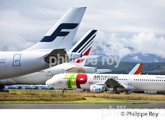 TARMAC AEROSAVE, AEROPORT DE TARBES LOURDES PYRENEES. (65F02808.jpg)