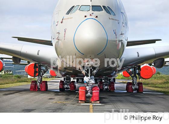 TARMAC AEROSAVE, AEROPORT DE TARBES LOURDES PYRENEES. (65F02812.jpg)