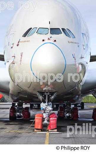TARMAC AEROSAVE, AEROPORT DE TARBES LOURDES PYRENEES. (65F02813.jpg)