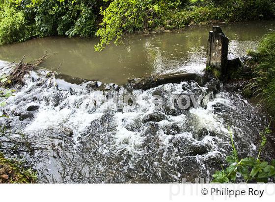 L' ECHEZ, VILLAGE DE LOUEY, VALLEE DE L' ECHEZ, VILLAGE DE JUILLAN, CYCLOTOURISME ENL' ECHEZ, VILLAGE DE LOUEY, VALLEE DE L' ECHEZ,  CYCLOTOURISME ENTRE TARBES ET LOURDES, BIGORRE.TRE TARBES ET LOURDES, BIGORRE. (65F03023.jpg)