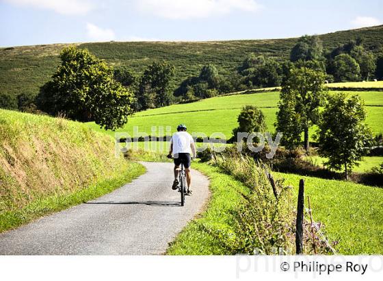 CYCLISTE  ET PAYSAGE AGRICOLE, VILLAGE  DE AVERAN,    BIGORRE. (65F03114.jpg)