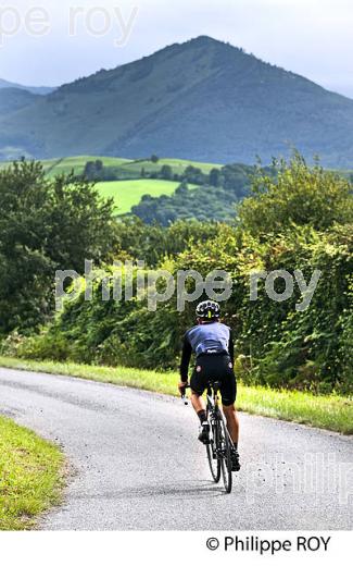 CYCLISTE  ET PAYSAGE AGRICOLE, VILLAGE  DE AVERAN,    BIGORRE. (65F03117.jpg)