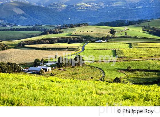 FERME  ET PAYSAGE AGRICOLE DE MONTAGNE, COMMUNE DE JULOS,   BIGORRE. (65F03127.jpg)