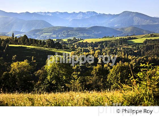 CHAINE DES PYRENEES ET  PAYSAGE AGRICOLE DE MONTAGNE, COMMUNE DE JULOS,   BIGORRE. (65F03202.jpg)