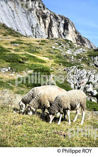 RANDONNEE PEDESTRE, CIRQUE  D' ESTAUBE, PAYS TOY, HAUTES-PYRENEES. (65F04134.jpg)