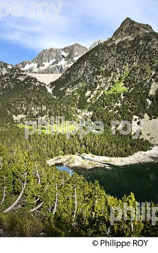 LAC D' OREDON ET MASSIF  DU NEOUVIELLE, VALLEE D' AURE,  HAUTES-PYRENEES. (65F04514.jpg)