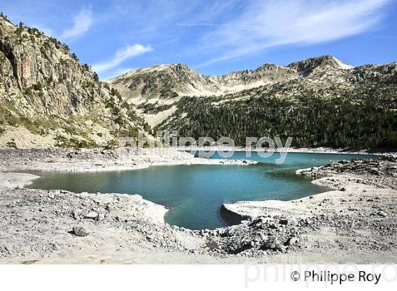 LE LAC D' AUBER, RESERVE DU NEOUVIELLE, VALLEE D' AURE,  HAUTES-PYRENEES. (65F04522.jpg)
