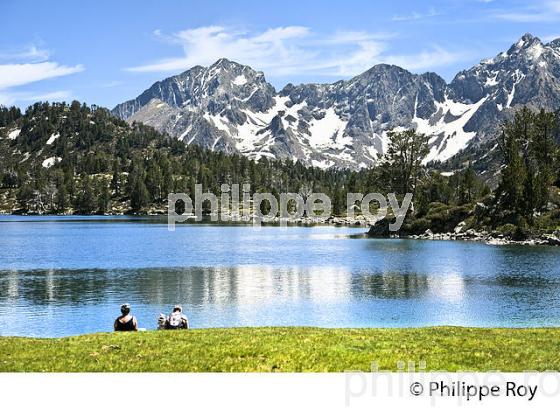 LE LAC D' AUMAR, RESERVE DU NEOUVIELLE, VALLEE D' AURE,  HAUTES-PYRENEES. (65F04523.jpg)