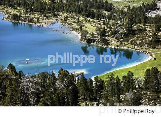 LE LAC D' AUMAR, RANDONNEE,  RESERVE DU NEOUVIELLE, VALLEE D' AURE, (65F04534.jpg)