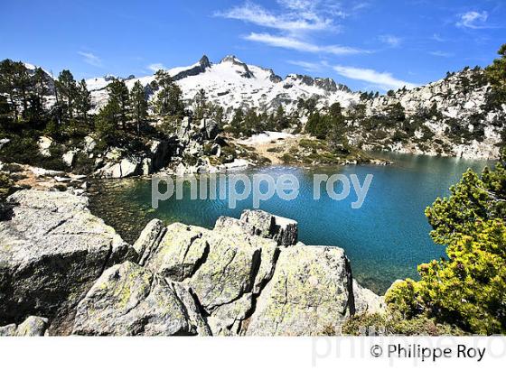 LAC, GOURG DE RABAS, RANDONNEE,  RESERVE DU NEOUVIELLE, VALLEE D' AURE,  HAUTES-PYRENEES. (65F04611.jpg)