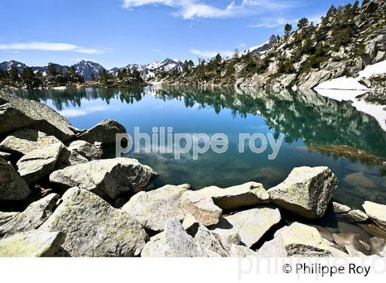 LAC, GOURG DE RABAS, RANDONNEE,  RESERVE DU NEOUVIELLE, VALLEE D' AURE,  HAUTES-PYRENEES. (65F04613.jpg)