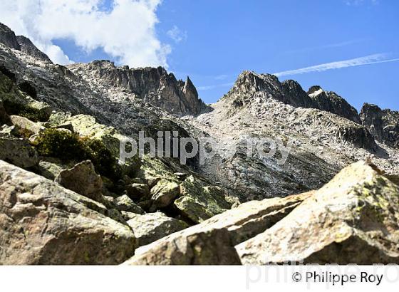 ASCENSION DU PIC DU NEOUVIELLE, VALLEE D' AURE,  HAUTES-PYRENEES. (65F04702.jpg)