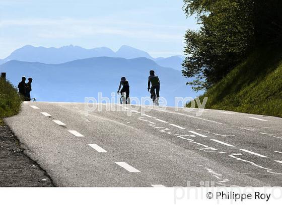 CYCLISTES AU SOMMET DU COL DE PEYRESOURDE, VALLEE DU LOURON, HAUTES-PYRENEES. (65F05011.jpg)