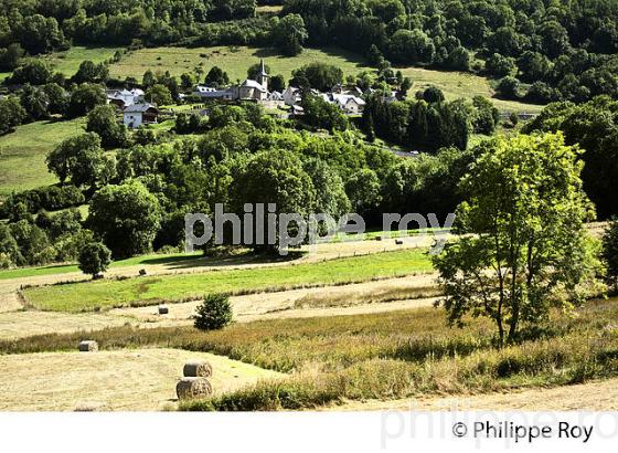 LE VILLAGE PERCHE D' ESTENSAN,  EN ETE,  VALLEE D' AURE, HAUTES-PYRENEES (65F06819.jpg)