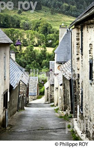 LE VILLAGE PERCHE D' AZET,  EN ETE,  VALLEE D' AURE, HAUTES-PYRENEES. (65F06929.jpg)