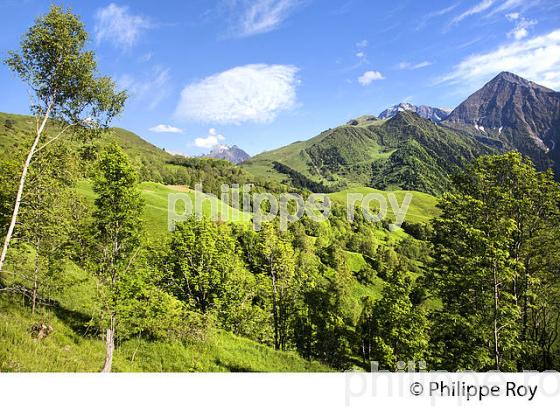 LEVER DE SOLEIL SUR L' ARBUZOON ET VALLEE D' AURE,  HAUTES-PYRENEES. (65F07010.jpg)