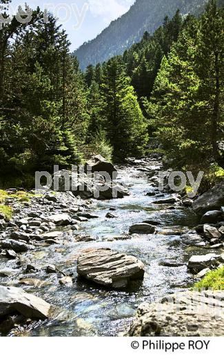 VALLEE DU RIOUMAJOU, EN ETE,  SAINT-LARY-SOULAN,  HAUTES-PYRENEES. (65F07036.jpg)