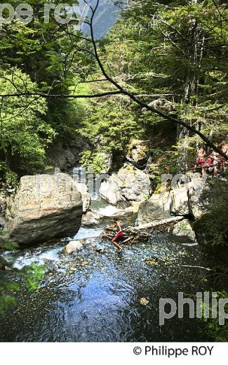 VALLEE DU RIOUMAJOU, EN ETE,  SAINT-LARY-SOULAN,  HAUTES-PYRENEES. (65F07102.jpg)