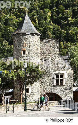 LE VILLAGE DE SAINT-LARY, EN ETE,  VALLEE D' AURE, HAUTES-PYRENEES. (65F07311.jpg)