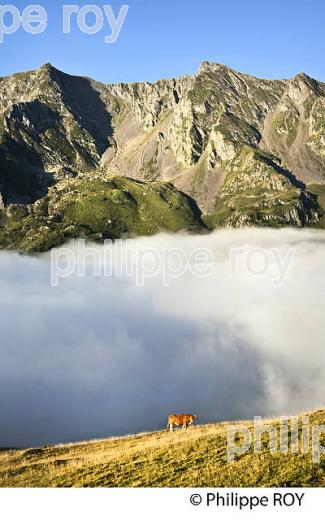 COL DU PORTET, STATION DE SKI DE SAINT-LARY, EN ETE,  VALLEE D' AURE, HAUTES-PYRENEES. (65F07538.jpg)