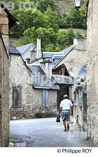 LE VILLAGE DE VIELLE-AURE,  EN ETE,  VALLEE D' AURE, HAUTES-PYRENEES. (65F07631.jpg)