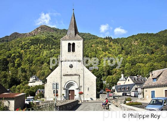 LE VILLAGE DE VIGNEC,  EN ETE,  VALLEE D' AURE, HAUTES-PYRENEES. (65F07710.jpg)