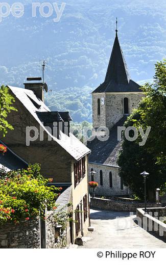 LE VILLAGE DE VIGNEC,  EN ETE,  VALLEE D' AURE, HAUTES-PYRENEES. (65F07712.jpg)