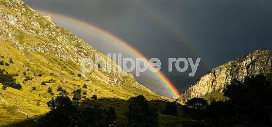 CIEL D' ORAGE SUR LES MONTAGNES DU PAYS TOY, HAUTES-PYRENEES. (65F07723.jpg)