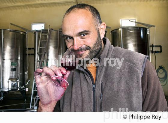 LAURENT PRATS, VITICULTEUR , DOMAINE SERRE ROMANI, IGP COTES CATALANES, RIVESALTES, ROUSSILLON, CATALOGNE. (66F00125.jpg)