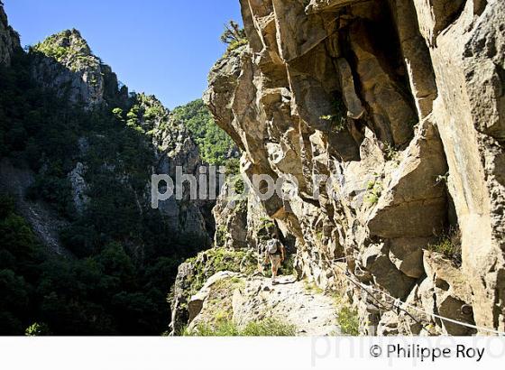 GORGE DE LA CARANCA, RANDONNEE PEDESTRE, CONFLENT, ROUSSILLON, OCCITANIE. (66F00708.jpg)