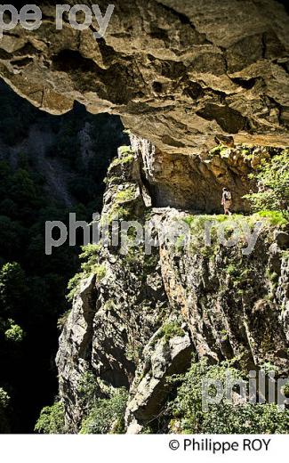GORGE DE LA CARANCA, RANDONNEE PEDESTRE, CONFLENT, ROUSSILLON, OCCITANIE. (66F00709.jpg)