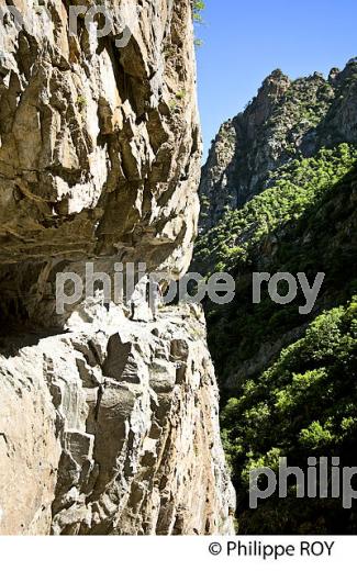 GORGE DE LA CARANCA, RANDONNEE PEDESTRE, CONFLENT, ROUSSILLON, OCCITANIE. (66F00712.jpg)