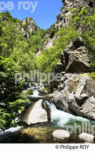 GORGE DE LA CARANCA, RANDONNEE PEDESTRE, CONFLENT, ROUSSILLON, OCCITANIE. (66F00728.jpg)
