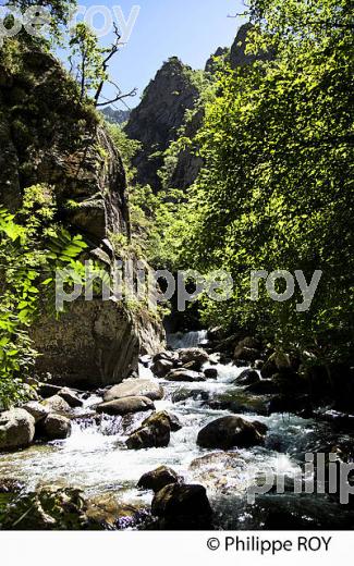 GORGE DE LA CARANCA, RANDONNEE PEDESTRE, CONFLENT, ROUSSILLON, OCCITANIE. (66F00729.jpg)