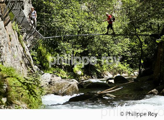 GORGE DE LA CARANCA, RANDONNEE PEDESTRE, CONFLENT, ROUSSILLON, OCCITANIE. (66F00803.jpg)