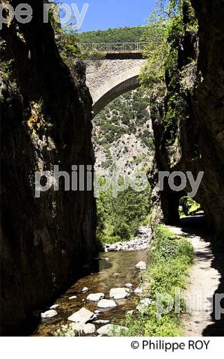 GORGE DE LA CARANCA, RANDONNEE PEDESTRE, CONFLENT, ROUSSILLON, OCCITANIE. (66F00806.jpg)