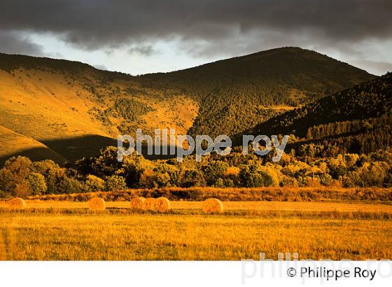 PAYSAGE DE MONTAGNE DE CERDAGNE, SAINTE-LEOCADIE,  ROUSSILLON, CATALOGNE, PYRENEES ORIENTALES. (66F01718.jpg)