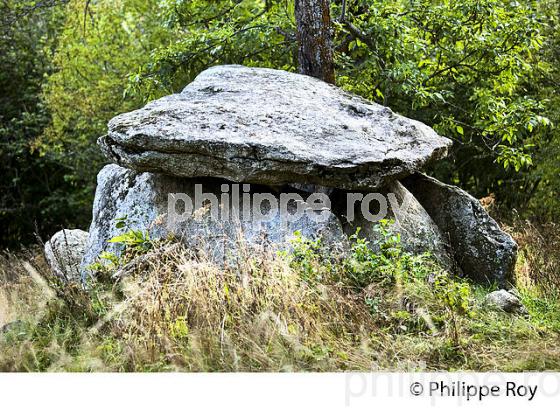 MEGALITHE, DOLMEN  EN CABALLER, VILLAGE DE ENVEITG ,  CERDAGNE, ROUSSILLON, CATALOGNE, PYRENEES ORIENTALES. (66F01734.jpg)